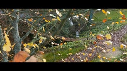 HUM BI Tanha thy full hd  sad song