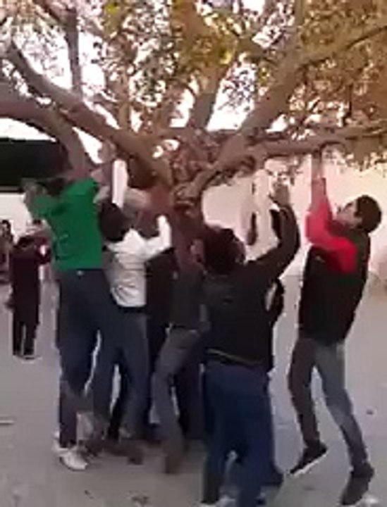 funny clip hahah