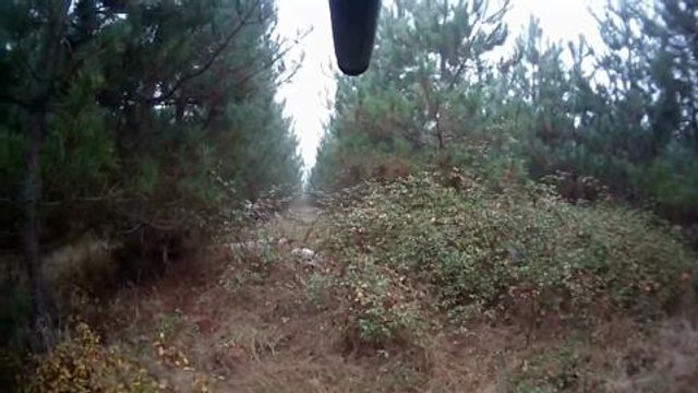 Chasse à la bécasse aux braques français