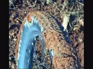 LOBO- " ME AND YOU AND A DOG NAMED BOO" (W/LYRICS)