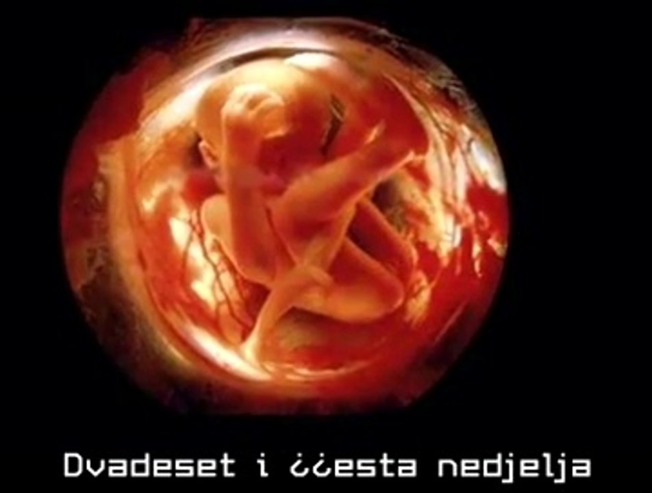 Ovako nastaje beba