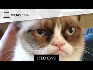 Tải video: Grumpy Cat rendeu mais de US$ 60 milhões à sua dona / Que tal jogar Pong no semáforo? | TecNews