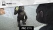Novo Gorilla Glass vai suportar qualquer queda! / Conheça o novo SO da Samsung | TecNews