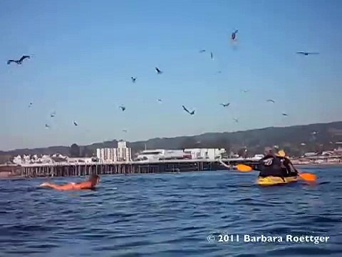 Elle filme sa fille au moment où elle surfe, mais ce qu'elle voit est incroyable