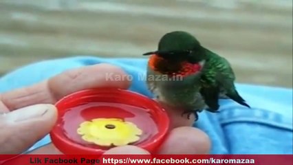 Allah Pak Ki Qudrat Dekhin