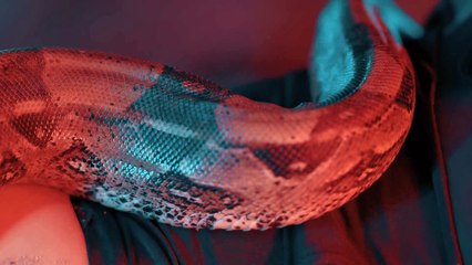 seslişehir.com /seslişehir.com // seslişehir.com /ATİL44