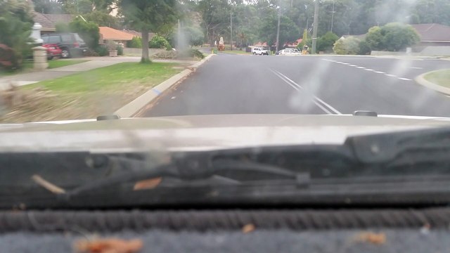 Parked Under The Bushes