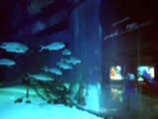 A Funny Yellow Pages Commercial!