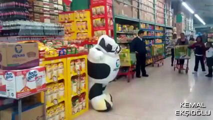 Kendini Müziğin Ritmine Kaptıran İnek