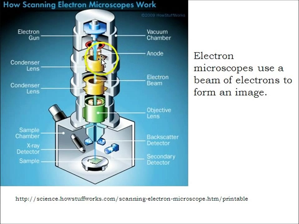 How a Scanning Electron Microscope Works.wmv