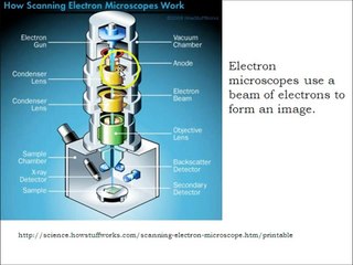 How a Scanning Electron Microscope Works.wmv