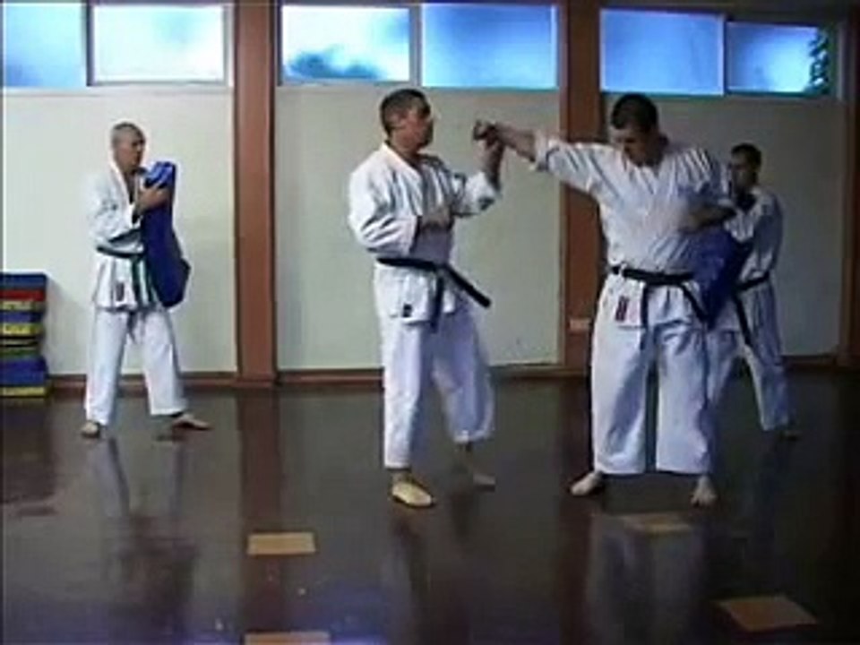 GOJU RYU KARATE TRAINING TECHNIQUES 1 KIHON BASICS video Dailymotion