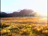 British Columbia: Nigeria North?
