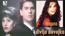 Dragana Mirkovic i Nino - Divlja devojka - (Audio 1995)