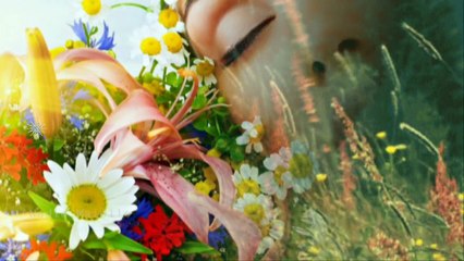 Alunni del Sole - Un Ricordo