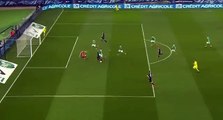 Zlatan Ibrahimovic Goal - PSG vs Saint Etienne 1-0 (Coupe de France) 2015 HD