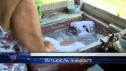 Hoy en la Historia: 01 Julio 2014