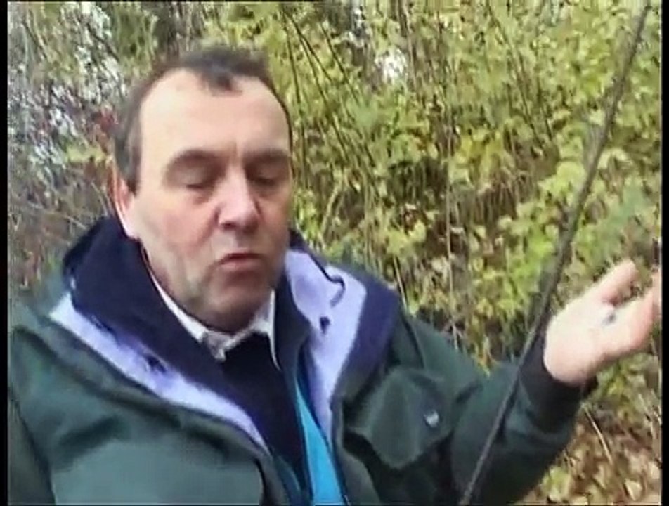 Peche De La Perche Au Vers Et Au Leurres Souples