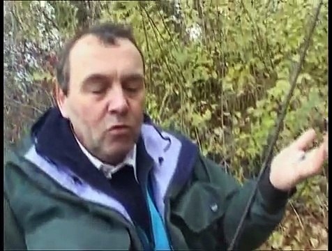 Peche De La Perche Au Vers Et Au Leurres Souples