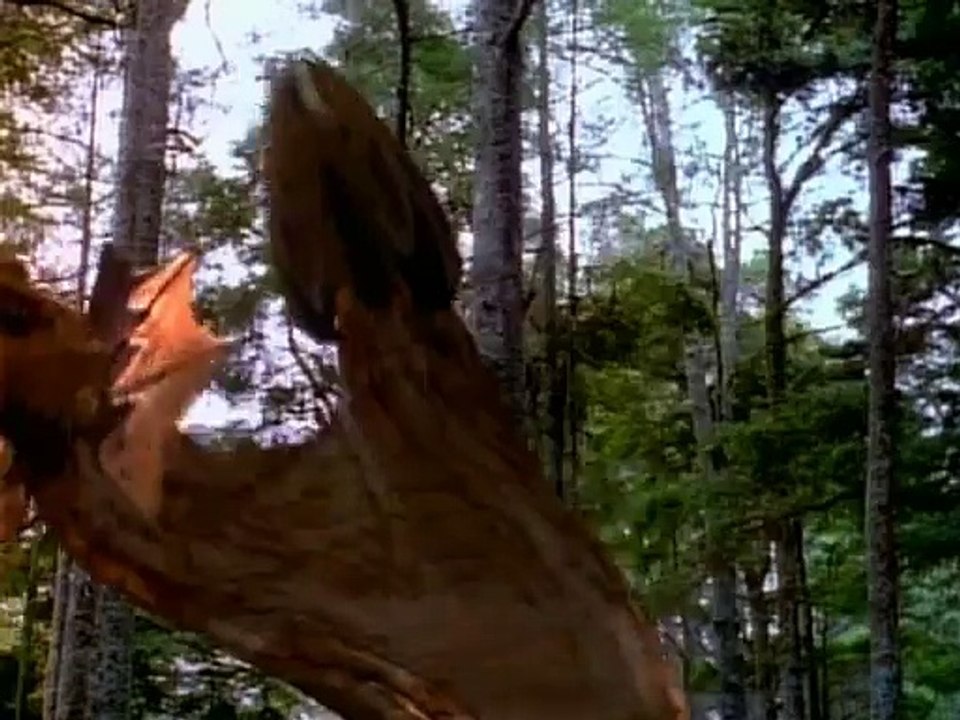 Hercules - The Legendary Journeys