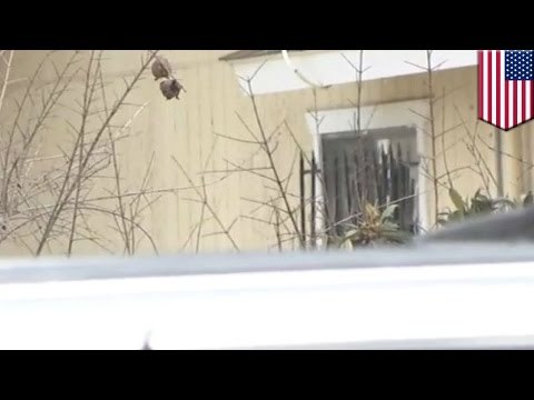 4-летняя девочка погибла, застряв в оконной решётке