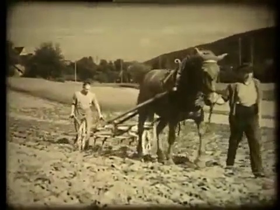 Traction animale et agriculture en Suisse en 1936