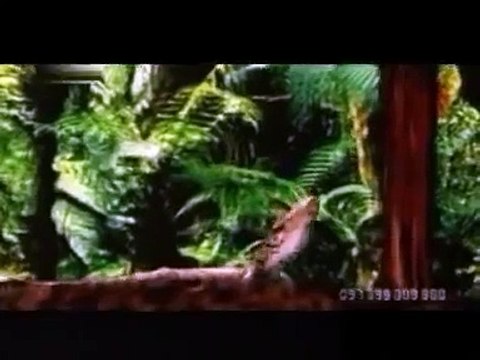 Fatboy Slim - Right Here, Right Now