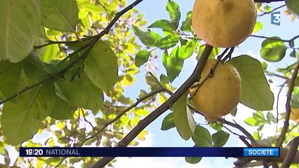 Le Portugal, nouvel eldorado des retraités français