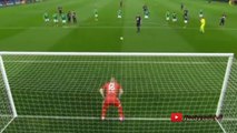 Zlatan Ibrahimovic Goal - PSG vs St Etienne 1-0 (Coupe de France 2015)