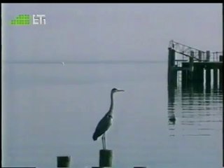 Λίμνη Λεμάν (Γενεύης) - Geneve et le lac Leman