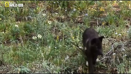 Simple Man--Lynyrd Skynyrd