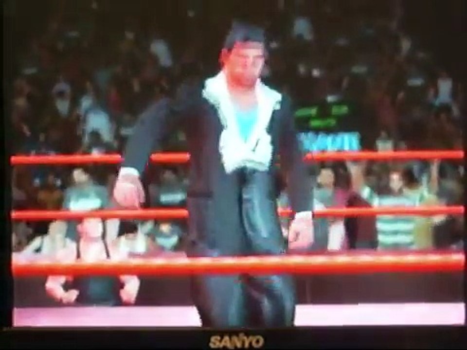 WWE SmackDown vs Raw 2009 Shane McMahon vs Randy Orton