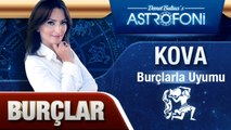 KOVA BURCU VE DİĞER BURÇLAR