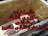 اكتشاف مقبرة أثرية في سنندج Iran Mummy