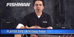 Fishman AFX Delay Player Tips