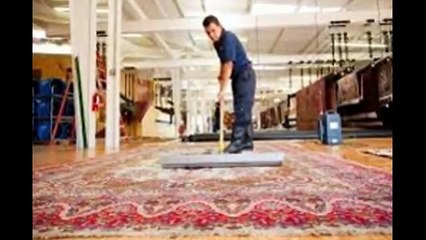 Exploring Fast Plans In Cleaning Carpets in Sydney