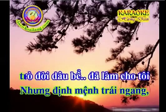 Tân cổ-Xin một lần yêu nhau(Vuive)