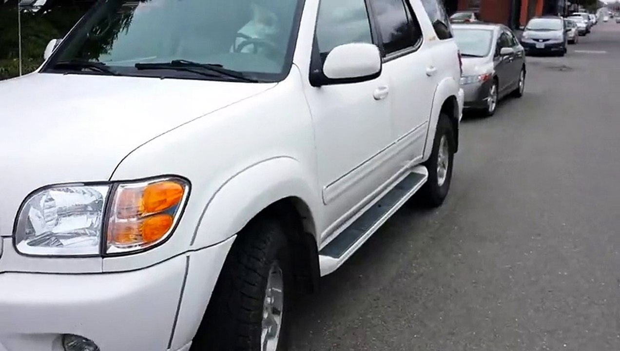 Bloqué dans une voiture, son chien se rebelle et ameute les foules ! Trop fort !