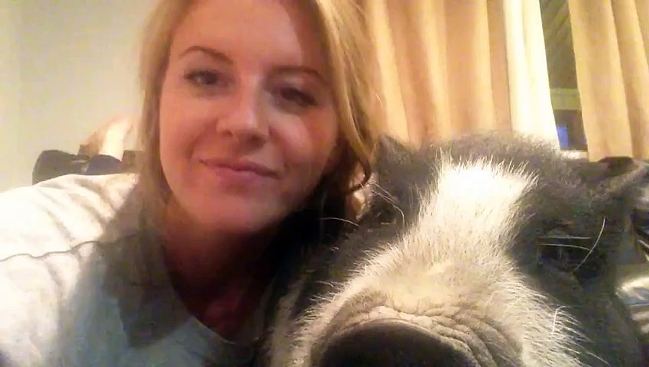 Ce cochon n'aime pas les calîns de sa jolie maitresse !