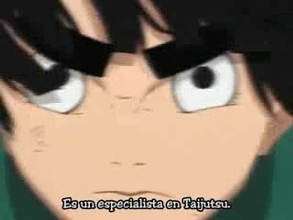 Rock lee-linkin park