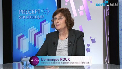 下载视频: Dominique Roux, Xerfi Canal Marketing et résistance du consommateur - Synthèse