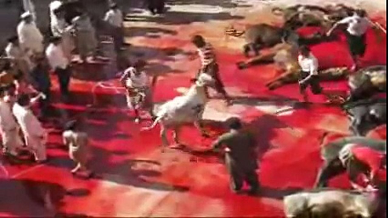 Eid Ul Azha 07-11-2011