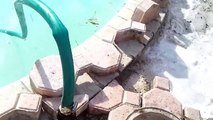 Pool deck paver sinking repair