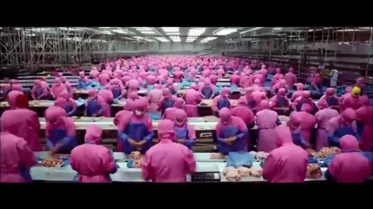 Food from Factory to House