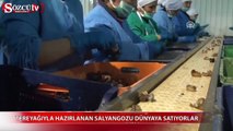 Dünyanın salyangozu Türkiye'den