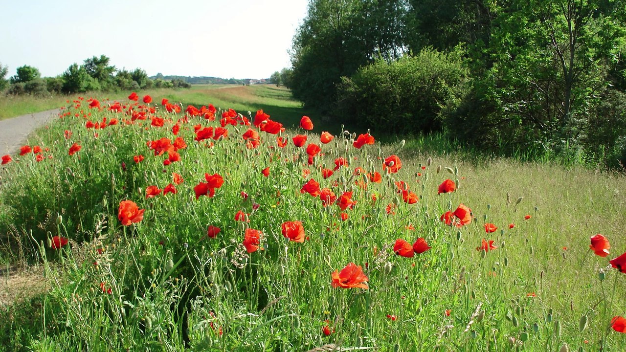 Videoproduktionsfirma Berlin