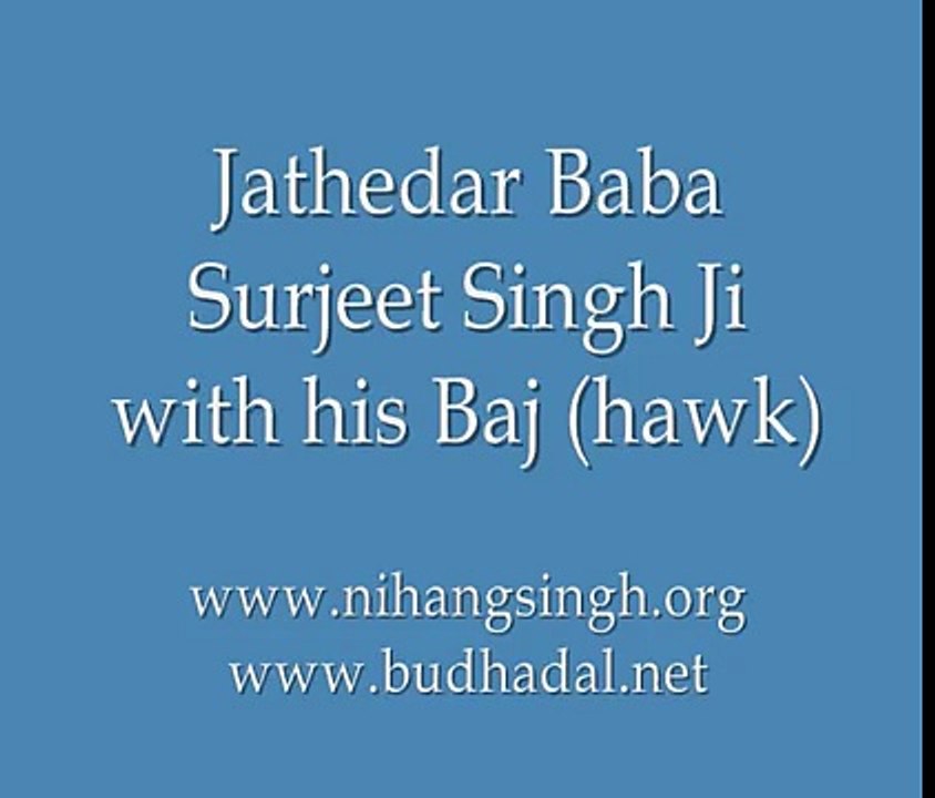 Jathedar Nihang Singh Akali Baba Surjeet Singh with his Hawk