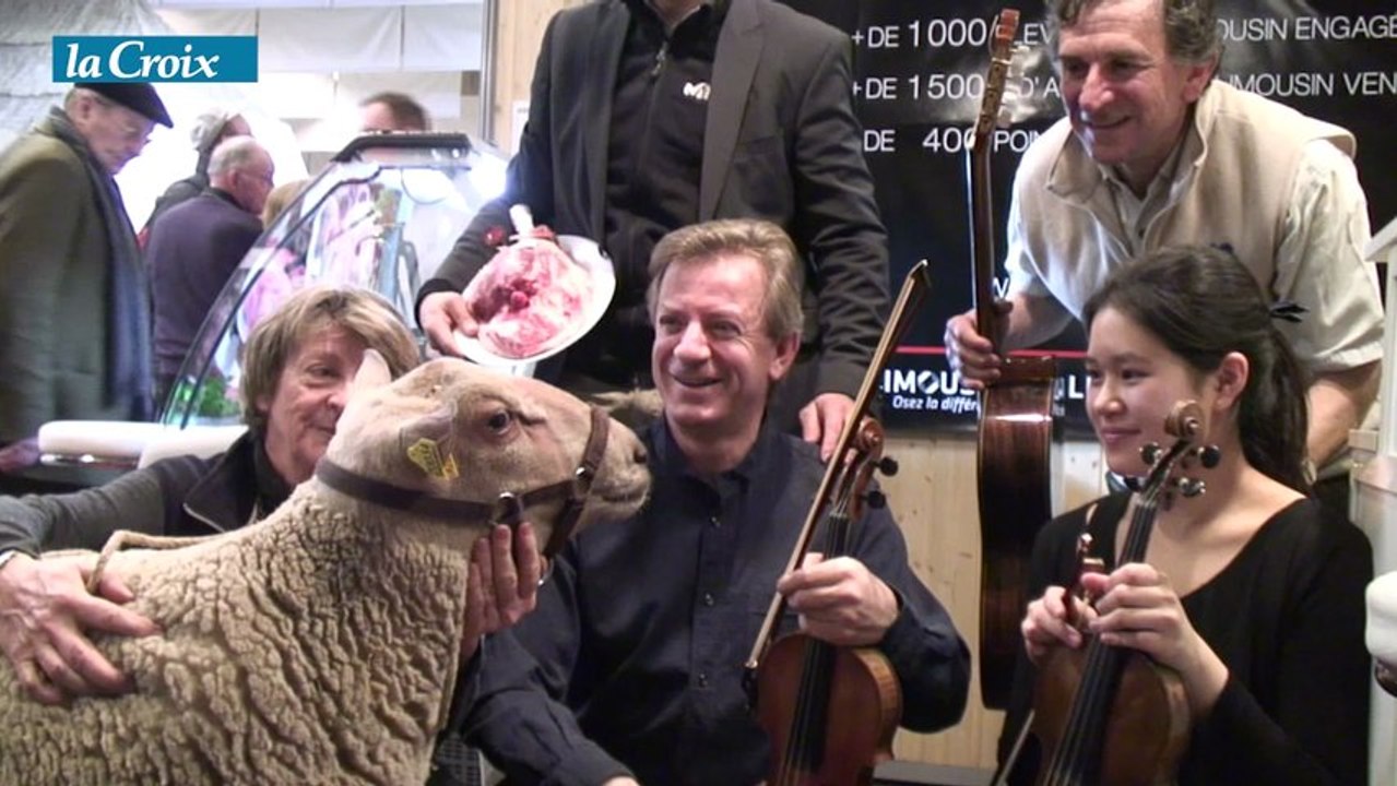 Un violoniste parmi les moutons au salon de l'agriculture