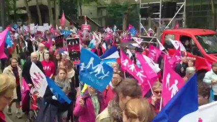 La "manif pour tous" mobilisée contre la loi Taubira à Paris