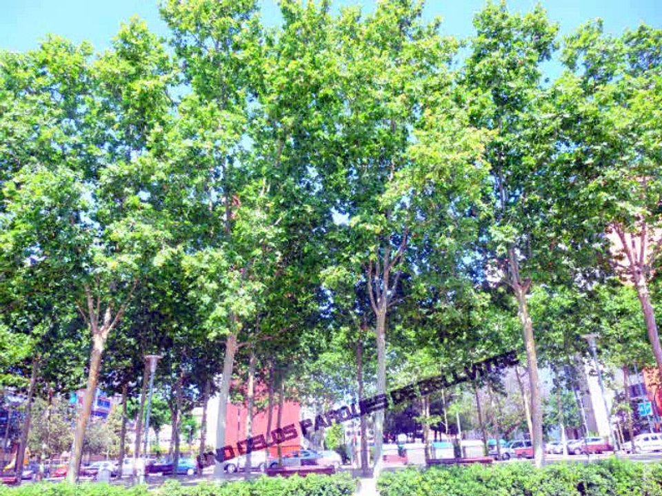 Foto jaume